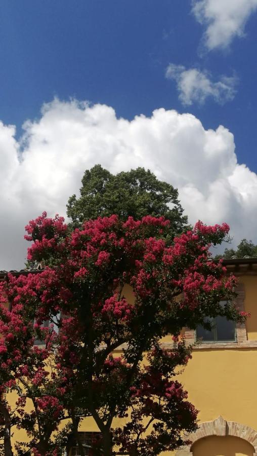 San Martinello Villa Perugia Eksteriør bilde