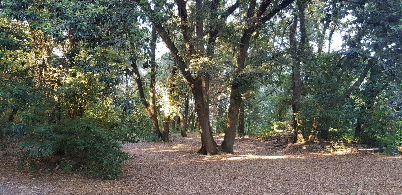 San Martinello Villa Perugia Eksteriør bilde